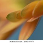 5ehd0tpx